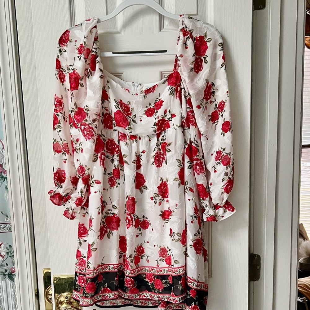 Blue Rain Francesca's Floral Red and White Lined Dress - Stunning Detail! Size L